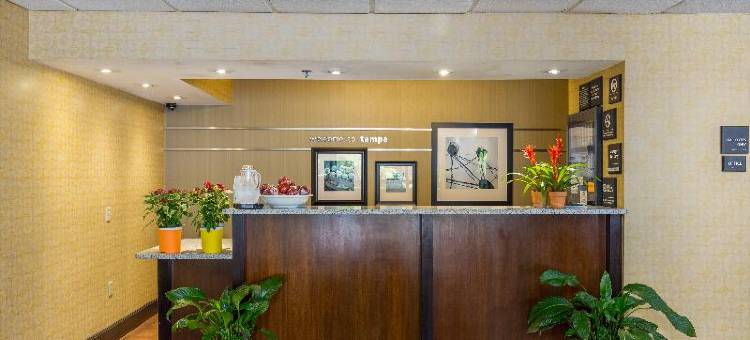 坦帕机场西岸希尔顿酒店(Hilton Tampa Airport Westshore)图片