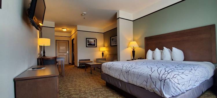 艾莫里福克湖贝斯特韦斯特优质套房酒店(Best Western Plus Emory at Lake Fork Inn  Suites)图片