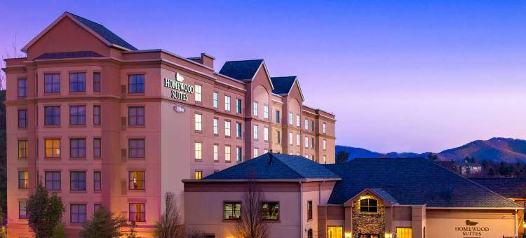 Homewood Suites by Hilton阿什维尔-隧道路(Homewood Suites by Hilton Asheville-Tunnel Road)图片
