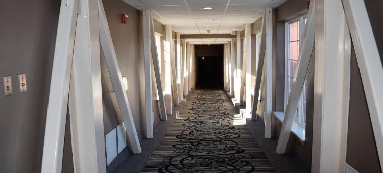 温德姆花园麦迪逊菲其堡酒店(Wyndham Garden Madison Fitchburg)图片