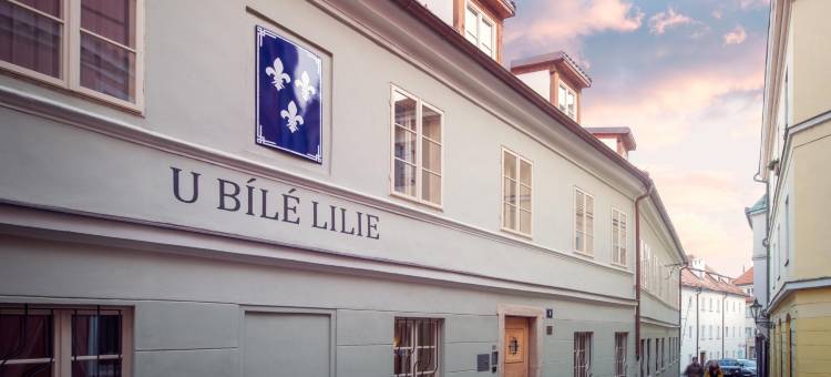 白色百合酒店(Hotel At the White Lily)图片