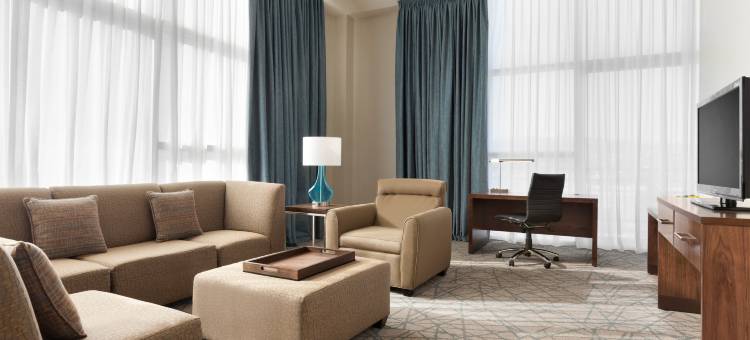 布雷亚北奥兰治县希尔顿安泊酒店(Embassy Suites by Hilton Brea - North Orange County)图片