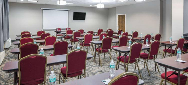 北哥伦布舒适套房酒店(Comfort Inn & Suites Columbus North)图片