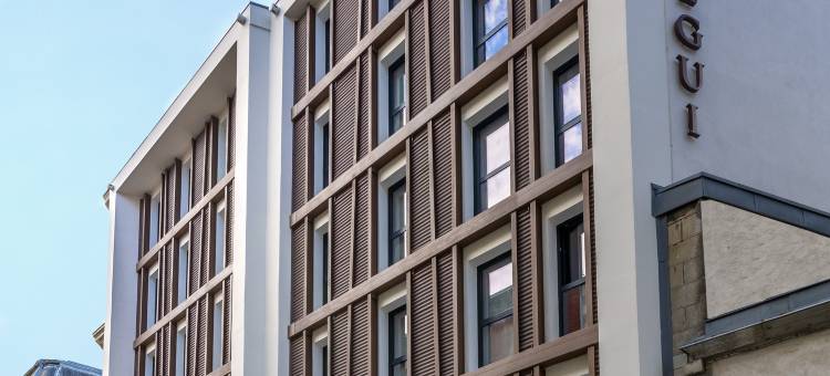 巴约讷柯伊古别墅酒店(Hôtel Villa Koegui Bayonne)图片