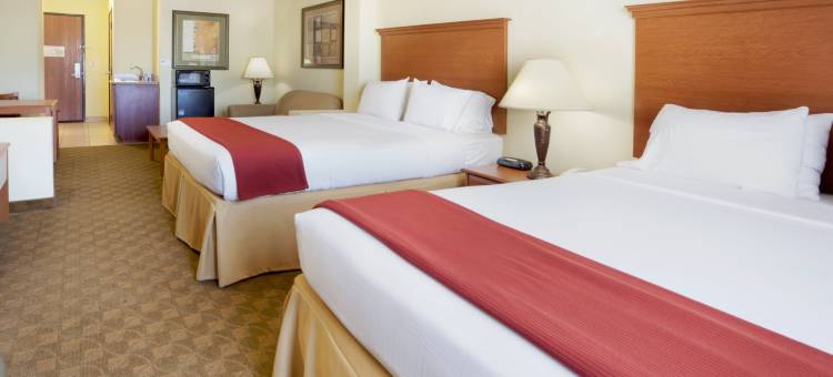 智选假日套房酒店萨帕塔(Holiday Inn Express & Suites Zapata)图片