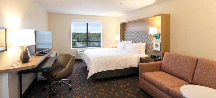 芒特普林森假日套房酒店(Holiday Inn & Suites Mount Pleasant)图片