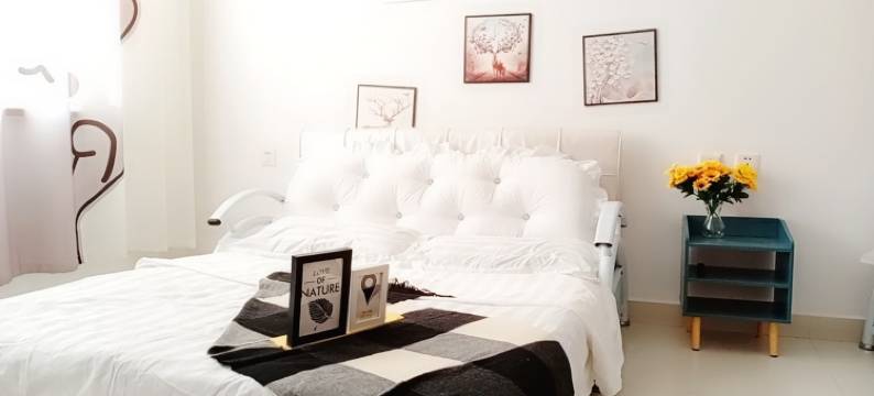 萍姐儿公寓(那达慕大街1号分店)图片