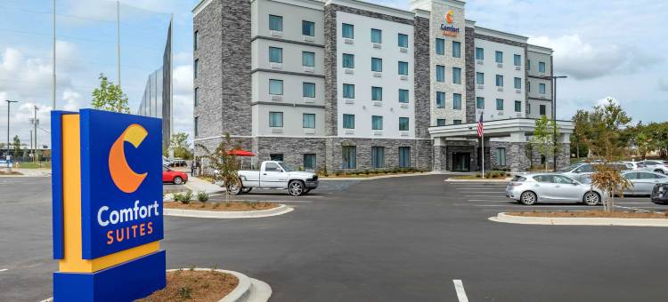 格林维尔机场舒适套房酒店(Comfort Suites Greenville Airport)图片