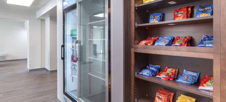 圣彼得斯堡骑士酒店(Quality Inn Saint Petersburg North-Tampa Bay)图片