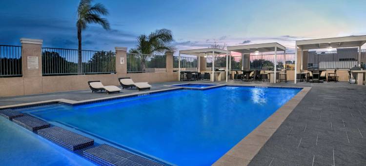 迈克艾伦浩枫温德姆公寓酒店(Hawthorn Extended Stay by Wyndham McAllen)图片