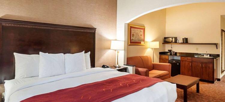 达勒斯机场舒适套房酒店(Comfort Suites Dulles Airport)图片