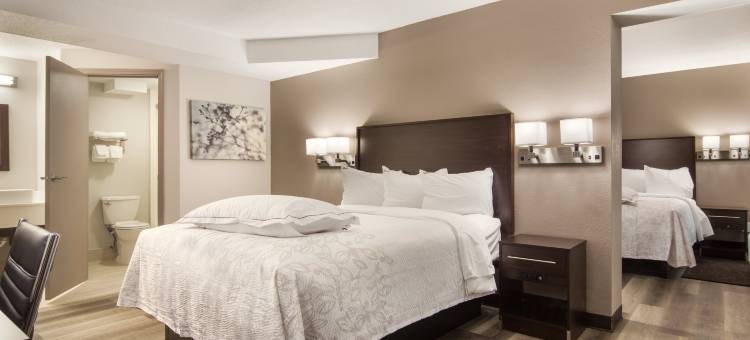 伊利红屋顶普拉斯套房酒店(Red Roof Inn Plus & Suites Erie)图片