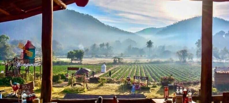 汪万农场酒店(Wongwan Farm)图片