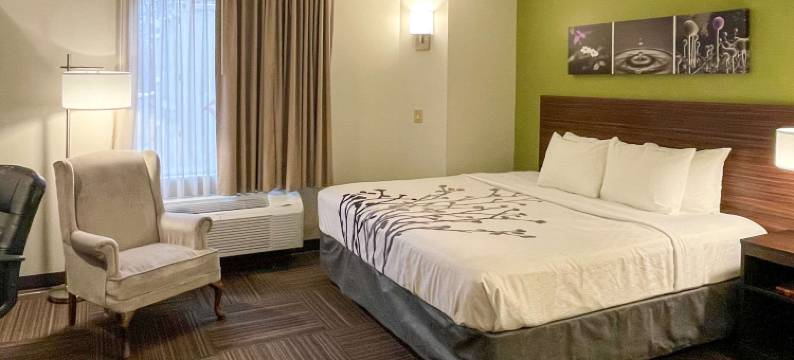 舒眠旅馆(Sleep Inn)图片