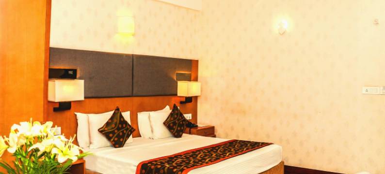 艾斯曼诺酒店(L'Elegant Hotel by Ace Manor)图片