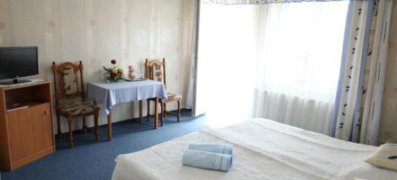 扎杰德维斯拉宾馆(Zajazd Nad Wisłą)图片