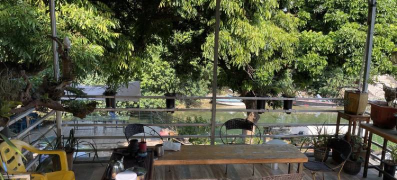 杨梅坑夕溪花间民宿(天然潭店)图片