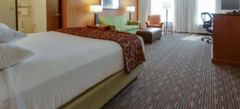 丹佛科技中心德鲁里套房酒店(Drury Inn & Suites Denver Tech Center)图片