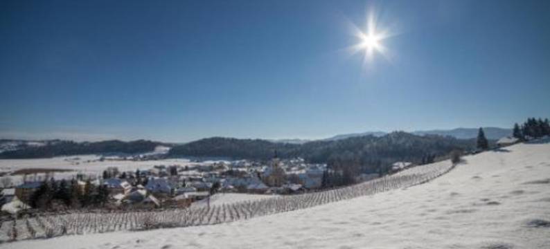 毛特纳可晨沃特宾馆(Gasthof Mauthner Zum Kirchenwirt)图片