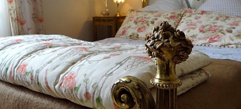 美斯尼城堡住宿加早餐旅馆(Château Mesny)图片