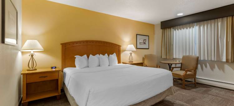 先锋贝斯特韦斯特酒店(Best Western Pioneer)图片