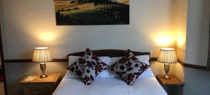 狮子&小提琴酒店(Lion and Fiddle)图片