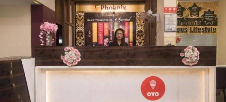 Collection O Phoenix图片