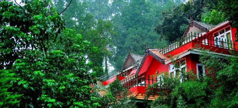 茶谷度假村(Tea Valley Resort, Munnar)图片