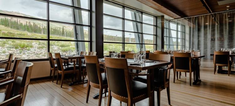 拉普兰萨迦酒店(Lapland Hotels Saaga)图片