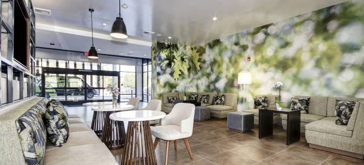 纳托马斯萨克拉门托机场温德姆花园酒店(Wyndham Garden Sacramento Airport Natomas)图片