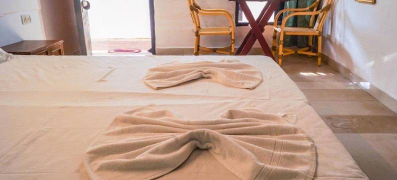 猪猪青年旅舍卡兰古特(Piggy Hostel Calangute)图片