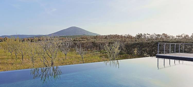 阿尔盖罗卡萨莱德哥里尤维农家乐(Agriturismo Casale Degli Ulivi Alghero)图片