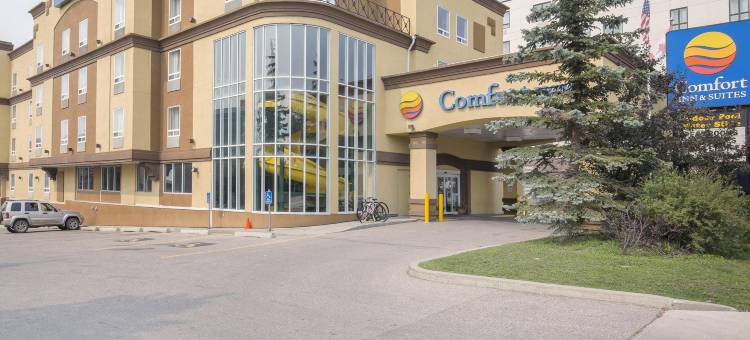 舒适酒店及套房大学(Comfort Inn & Suites University)图片