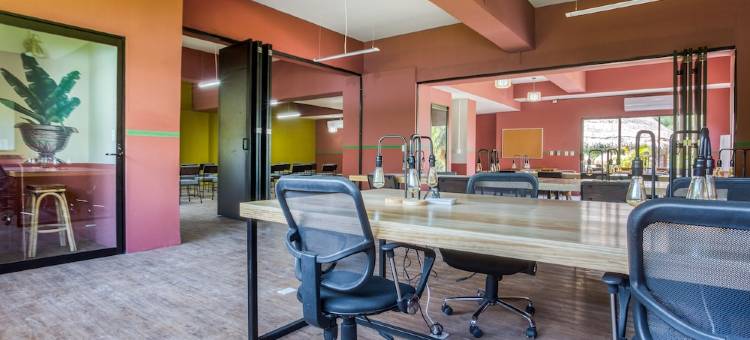 尼罗河坎昆酒店区塞丽娜酒店(Nílu Cancún Zona Hotelera by Selina)图片