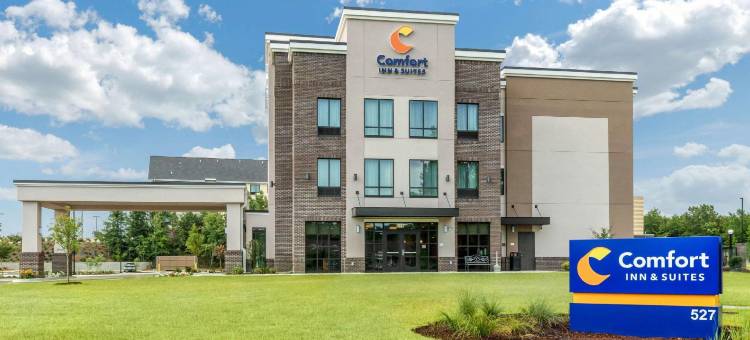 舒适套房旅馆(Comfort Inn & Suites)图片