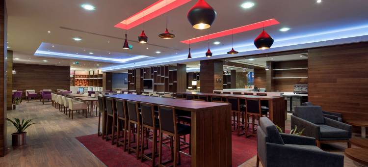 卡亚什尔希尔顿欢朋酒店(Hampton by Hilton Istanbul Kayasehir)图片