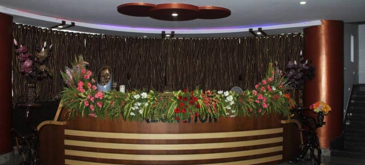 亚洲山景酒店(Ashiana Hill View Hotel)图片