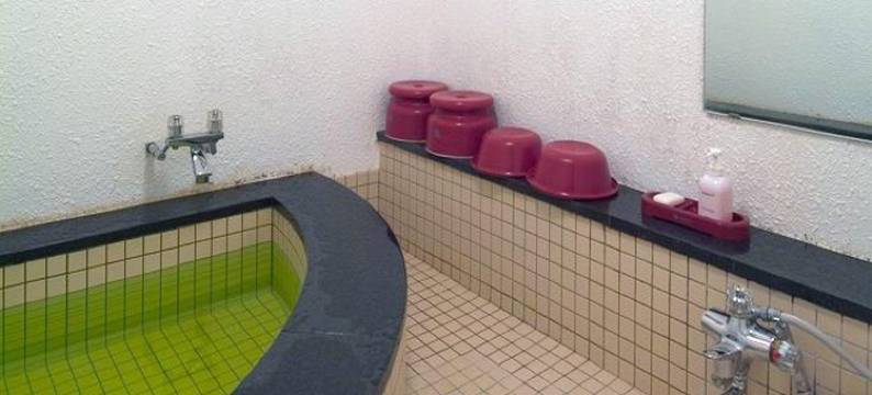 新奥特酒店(Hotel New Ohte)图片