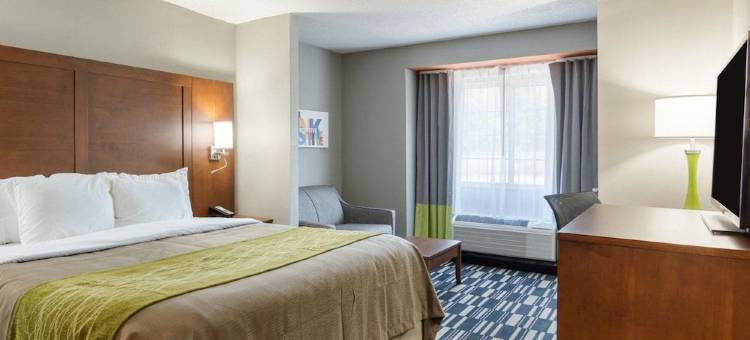 亚什兰帝王之城游乐园附近凯艺套房酒店(Quality Inn & Suites Ashland Near Kings Dominion)图片