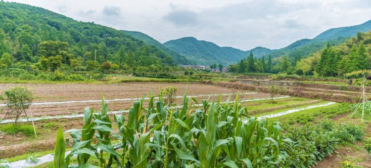 象山后山·拾光民宿图片