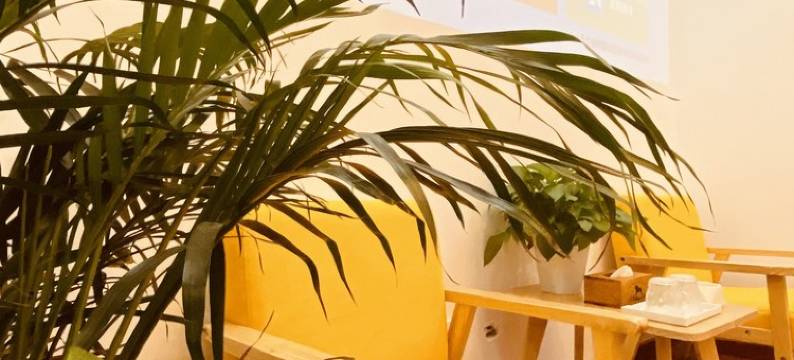 银川来住·千寻民宿图片