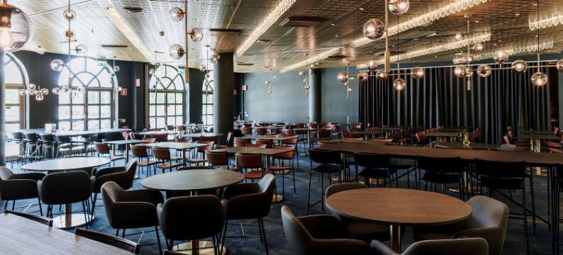 斯堪迪克之星索伦蒂纳酒店(Scandic Star Sollentuna)图片