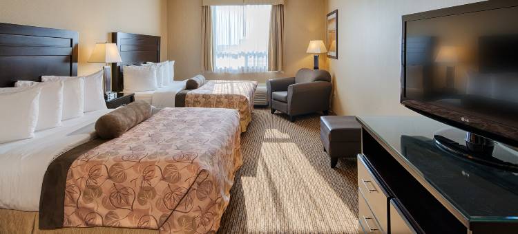 埃斯特万贝斯特韦斯特优质套房酒店(Best Western Plus Estevan Inn  Suites)图片
