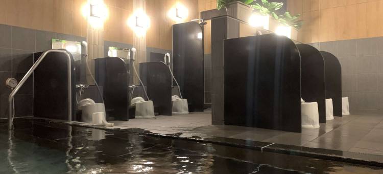 露樱酒店 高冈站前店(HOTEL ROUTE-INN TAKAOKA EKIMAE)图片