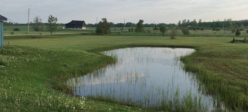 Dundalk Rental Property图片