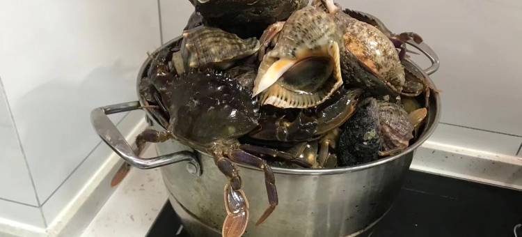 想你的风把你吹来海边公寓(漓江西路分店)图片