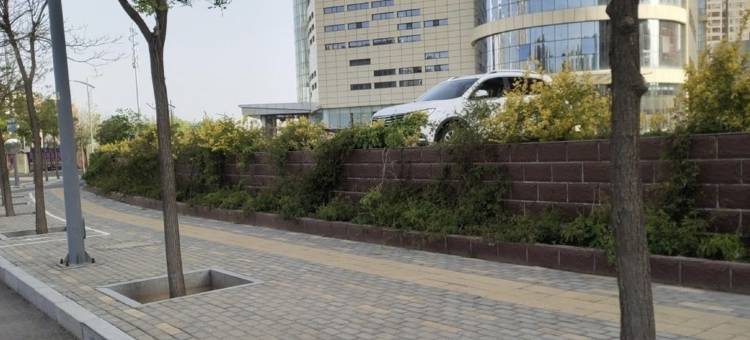 暖晴民舍公寓(景致环路店)图片