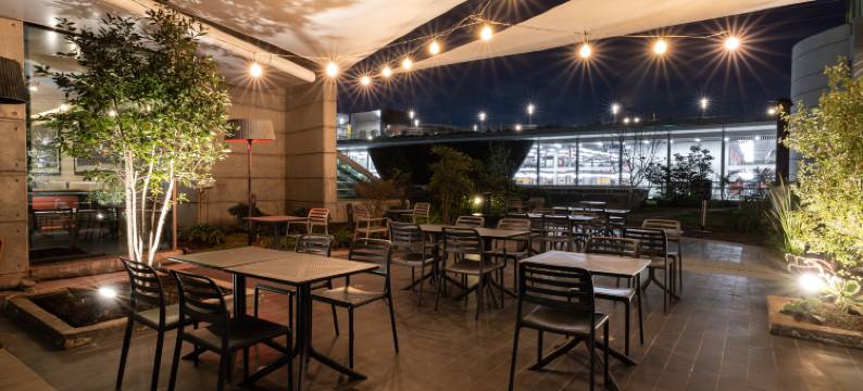 圣地亚哥机场航站楼假日酒店(Holiday Inn SANTIAGO - AIRPORT TERMINAL by IHG)图片