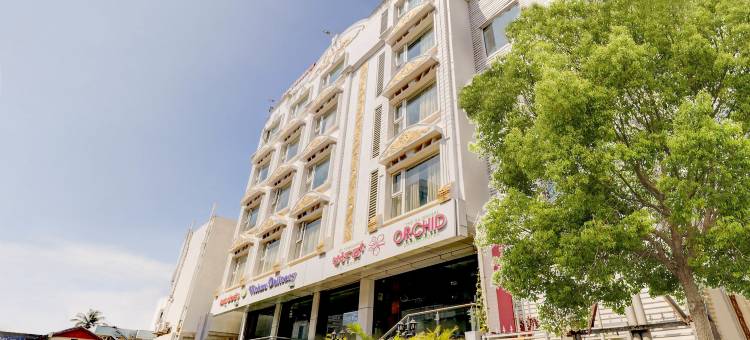 Treebo兰花(Treebo Orchid)图片