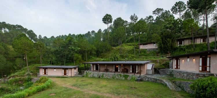 阿玛亚卡苏里(Amaya Kasauli)图片